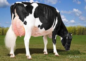 View-Home HOPE EX 92, 4ème mère View-Home HOPE EX 92, 4ème mère