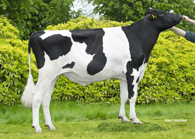 Target - T125 DE 0124762725
Pere: Aerosmith
Prop: Genes Diffusion, 59. Douai (Fr.)
Photo: Douai - 15 Mai 2023 - M2305028