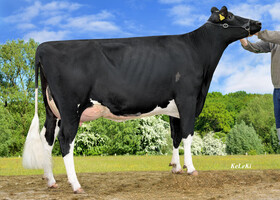 KAX DOLLE TB 87, 3ème mère KAX DOLLE TB 87, 3ème mère