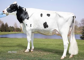 Morningview Mogul RENEA (MOGUL) - Mère de LIGHT RED