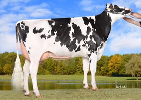 Wilder KAISERIN TB 85, 2ème Mère