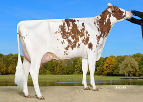 Wilder KOENIGIN TB 86, 3ème Mère