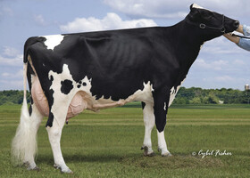 Clear-Echo 822 Ramo 1200 EX 94, 6ème Mère