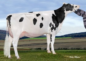 MS Brasilia BRYCE TB 87 - 3ème Mère