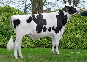 Norway - N108 DE 1082601383
Pere: Federal
Prop: Genes Diffusion, 59. Douai (Fr.)
Photo: Douai - 6 Mars 2019 - M1903004