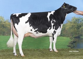 Koepon Ep P MIDNITE 13 P VG 85 - 3ème Mère Koepon Ep P MIDNITE 13 P VG 85 - 3ème Mère