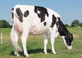 LOBY P2M TB 86, 2ème Mère LOBY P2M TB 86, 2ème Mère