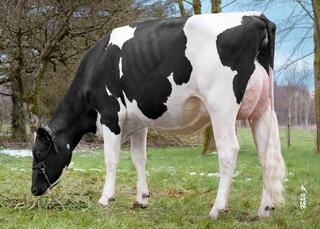 LYDIE EX 90, 2ème Mère LYDIE EX 90, 2ème Mère