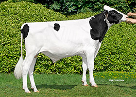 BARB PEITH (Keith x Jenesis)