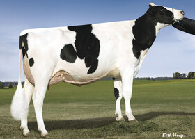 Ladys-Manor ODA EX 93, 3ème Mère