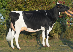 RAYWOOD BP 83, mère RAYWOOD BP 83, mère