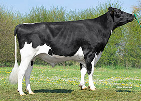 PIWI ETL (Adlon P x Archer P)