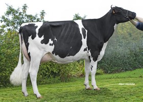LIBERTY EX 90, 2ème Mère LIBERTY EX 90, 2ème Mère