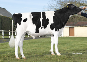 Sorky ETL FR 2928823935
Pere: Porky P
Prop: Genes Diffusion, 59. Douai (Fr.)
Photo: l’Aigle - 15 Fevrier 2023 - M2302058