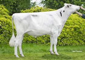 Soual JBT - S845 FR 2934800519
Pere: Have It Al
Prop: Genes Diffusion, 59. Douai (Fr.)
Photo: Douai - 15 Mai 2023 - M2305031