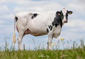 EBA NETTY TB 87, 2ème mère EBA NETTY TB 87, 2ème mère