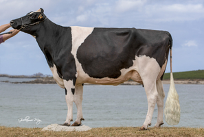MILA FIGA TB 86, 2ème mère MILA FIGA TB 86, 2ème mère