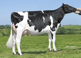 CAPJ OTARIE TB 88, 3ème mère