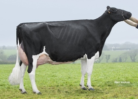 CAPJ MAELOU TB 88, 3ème mère