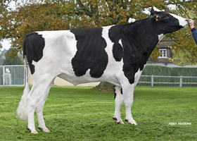 Mys Smiley FR 3544614049
Pere: Midas Touc
Prop: Genes Diffusion, 59. Douai (Fr.)
Photo: l’Aigle - 13 Novembre 2024 - M2411031
Copyright: Alger Meekma