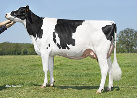 PM PEARLEY EX 91, Mère PM PEARLEY EX 91, Mère