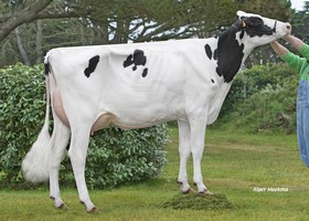 CAPJ MAIE TB 87 - Fille de IMOLA - GAEC Cabon (29)