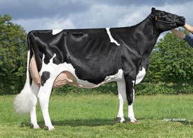 HAISSAPOM EX 95, Mère