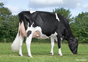 HAISSAPOM EX 95, Mère