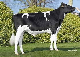 Favi Soa P - S802 FR 4243324237
Pere: Speedup P
Prop: Genes Diffusion, 59. Douai (Fr.)
Photo: Douai - 14 Fevrier 2023 - M2302038
