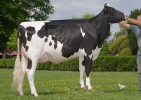 COPABOKA TB 87, 7ème Mère COPABOKA TB 87, 7ème Mère