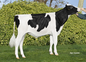 Pom Spor P - S820 FR 4243421375
Pere: Porky P
Prop: Genes Diffusion, 59. Douai (Fr.)
Photo: Douai - 12 Decembre 2022 - M2212031