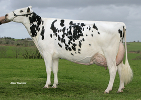 CAPJ AMARANTE EX 92, 7ème mère CAPJ AMARANTE EX 92, 7ème mère