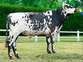 Infinity (Game Over x Saintyorre)