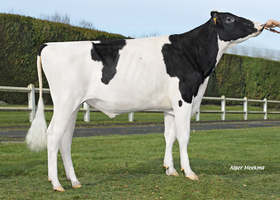 Silbay FR 5344217425
Pere: Polibay
Prop: Genes Diffusion, 59. Douai (Fr.)
Photo: l’Aigle - 15 Fevrier 2023 - M2302053