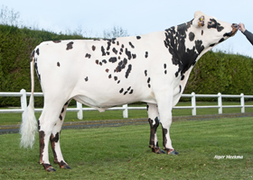 VANAZAY (Riley Jet)