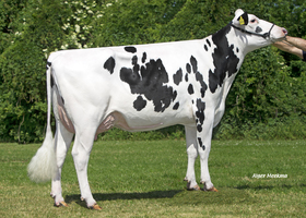 6840, Mère 6840, Mère