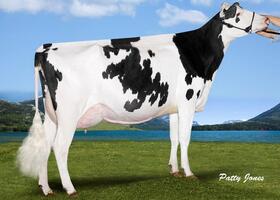 Morsan Socrates DORIS TB 85, 3ème Mère