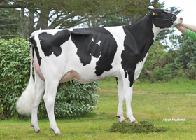 C A P J   M A E V E   E X   9 1 ,   2 � m e   M � r e   