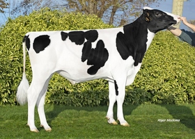 Sarrasin - S800 FR 6109156768
Pere: Platon
Prop: Genes Diffusion, 59. Douai (Fr.)
Photo: Douai - 12 Decembre 2022 - M2212032