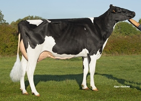 OBSTINEE TB 86, 2ème mère OBSTINEE TB 86, 2ème mère