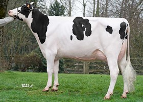 LAPDURA B+ 84, Mère