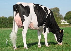 MELBA TB 86, Mère MELBA TB 86, Mère