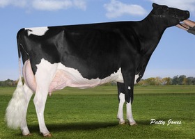 Gen-I-Beq Champion BALLY EX 95, 7ème mère Gen-I-Beq Champion BALLY EX 95, 7ème mère