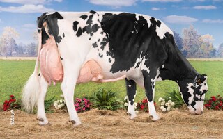AIRWAY des Grilles EX 95, 7ème mère