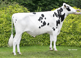 EBA Ted RF - T148      FR 7261004453
Pere: Sanchez P
Prop: Genes Diffusion, 59. Douai (Fr.)
Photo: Douai - 2 Juillet 2024 - M2407031