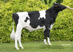 EBA Vet RF      FR 7261004565
Pere: Esquire SA
Prop: Genes Diffusion, 59. Douai (Fr.)
Photo: Douai - 7 Juillet 2025 - M2507033
Copyright: Alger Meekma