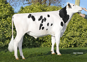 Salandre - S792 FR 7637042487
Pere: Genius Gyw
Prop: Genes Diffusion, 59. Douai (Fr.)
Photo: Douai - 12 Decembre 2022 - M2212044