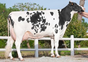 JELTJ 0532 TB 89 - 4ème Mère