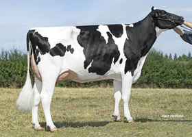 NOMINALE TB 87, 3ème mère