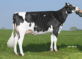 MAGIE LP TB 86, Mère MAGIE LP TB 86, Mère